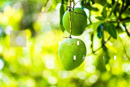 欠了三萬五網(wǎng)貸怎么還(網(wǎng)貸欠了3萬怎么辦)