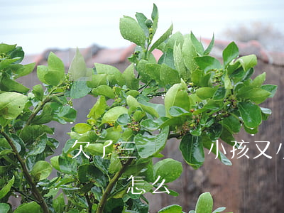 欠了三萬網貸小孩又小又不敢說(欠了三萬的網貸怎么辦)