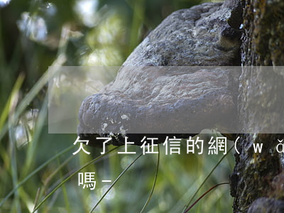 欠了上征信的網(wǎng)貸坐不了飛機嗎-
