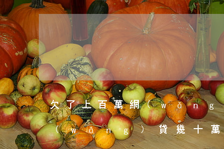 欠了上百萬網(wǎng)貸怎么還(欠了網(wǎng)貸幾十萬還不上怎么辦)