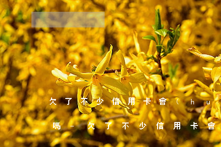 欠了不少信用卡會(huì)打電話給單位嗎-欠了不少信用卡會(huì)打電話給單位嗎怎么辦