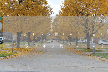 欠了不少網(wǎng)貸 利息太高怎么辦(欠了不少網(wǎng)貸 利息太高怎么辦)