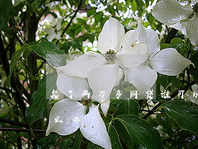 欠了两万多网贷谁可以帮我(网贷欠了两万怎么办)