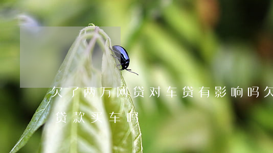 欠了两万网贷对车贷有影响吗(欠了网贷影响贷款买车吗)