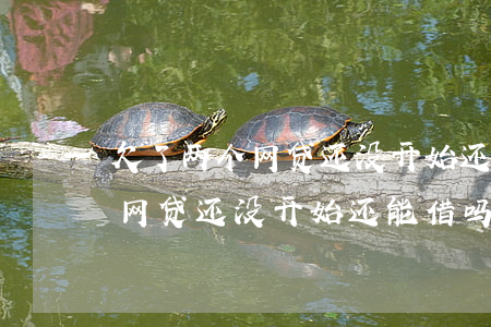 欠了两个网贷还没开始还能借吗-欠了两个网贷还没开始还能借吗怎么办