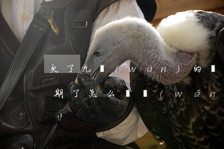 欠了九萬(wàn)的網(wǎng)貸逾期了怎么辦(網(wǎng)貸逾期九個(gè)月)