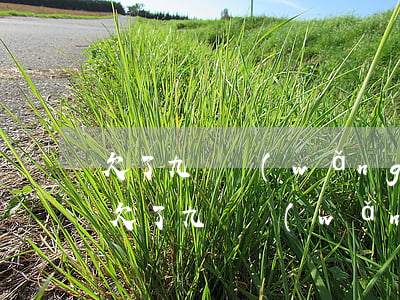 欠了九萬網(wǎng)貸該不該跟媳婦說(欠了九萬網(wǎng)貸該不該跟媳婦說)