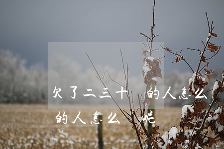 欠了二三十萬的人 怎么辦呢-欠了二三十萬的人 怎么辦呢