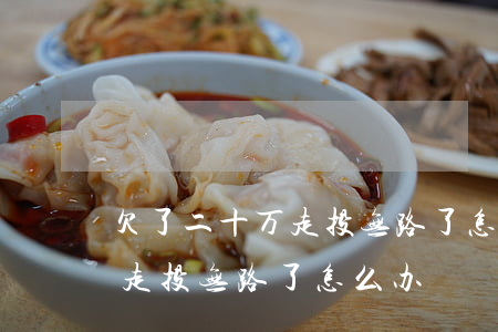 欠了二十万走投无路了怎么办-欠了二十万走投无路了怎么办