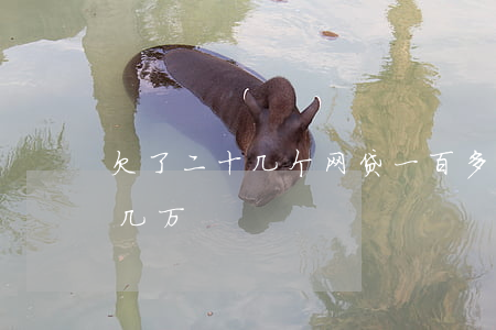 欠了二十几个网贷一百多万(网贷平台欠了十几万)