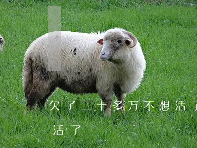 欠了二十多万 不想活了-欠了二十多万,不想活了