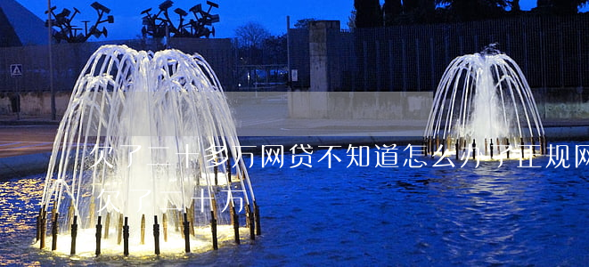 欠了二十多万网贷不知道怎么办了(正规网贷欠了二十万)