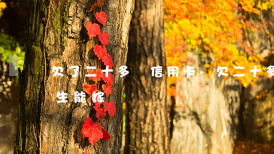 欠了二十多萬信用卡-欠二十多萬信用卡男生能嫁嗎