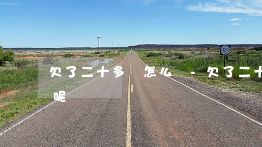 欠了二十多萬怎么辦-欠了二十多萬怎么辦呢