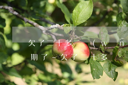 欠了二十多萬網(wǎng)貸還不起都逾期了-欠了二十多萬網(wǎng)貸還不起都逾期了怎么辦