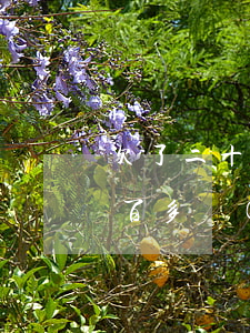 欠了二十幾個(gè)網(wǎng)貸一百多萬(wàn)(網(wǎng)貸平臺(tái)欠了十幾萬(wàn))