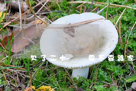欠了二十幾萬要不要跟家里人說-