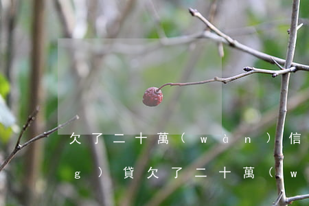欠了二十萬(wàn)信用卡和網(wǎng)貸(欠了二十萬(wàn)信用卡和網(wǎng)貸)