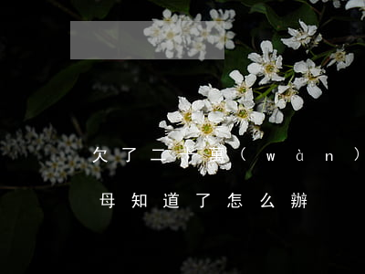 欠了二十萬(wàn)網(wǎng)貸父母知道了怎么辦