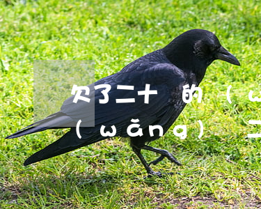 欠了二十萬的網(wǎng)貸怎么辦(欠網(wǎng)貸二十萬還不起怎么辦)