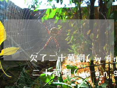欠了二十萬網(wǎng)貸怎么辦-欠了二十萬網(wǎng)貸怎么辦信用卡