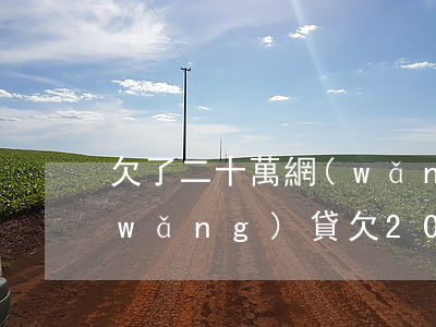 欠了二十萬網(wǎng)貸無力償還(網(wǎng)貸欠20多萬無力償還)
