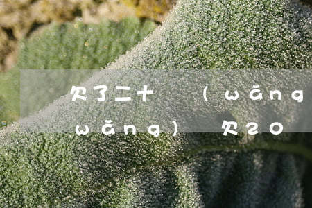 欠了二十萬網(wǎng)貸還不起了(網(wǎng)貸欠20萬不還)