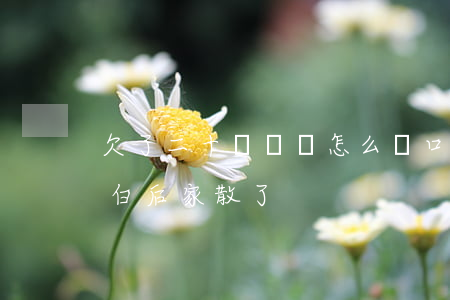 欠了二十萬網貸怎么開口坦白(網貸十二萬坦白后家散了)