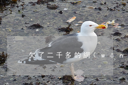 欠了二千多的網(wǎng)貸不還