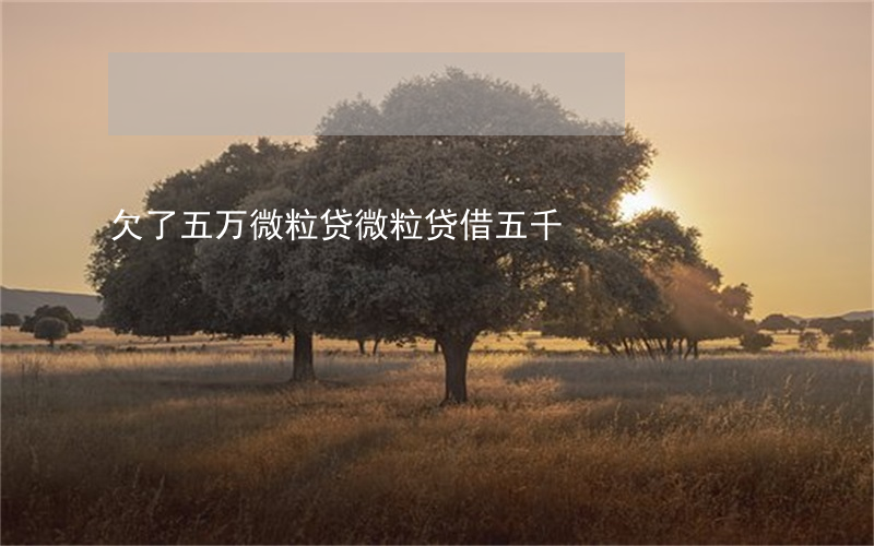 欠了五万微粒贷(微粒贷借五千)
