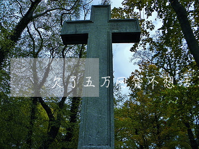 欠了五万网贷不想活了(欠网贷5万想死)
