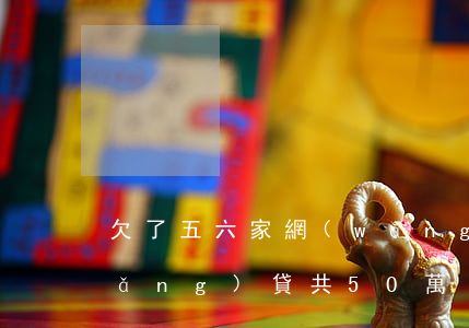 欠了五六家網(wǎng)貸(欠多家網(wǎng)貸共50萬)