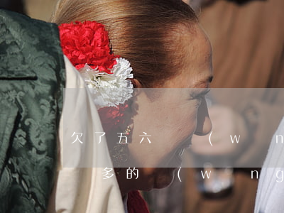 欠了五六萬網(wǎng)貸怎么還(欠了六萬多的網(wǎng)貸怎么辦)