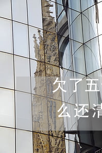 欠了五十万的债怎么还-欠了五十万的债怎么还清