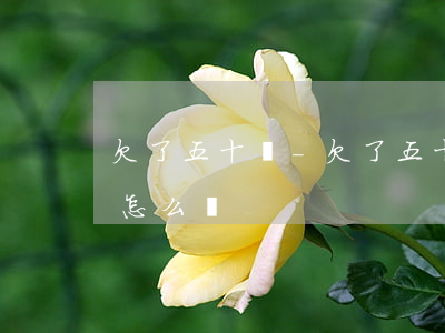 欠了五十萬-欠了五十萬網(wǎng)貸怎么辦