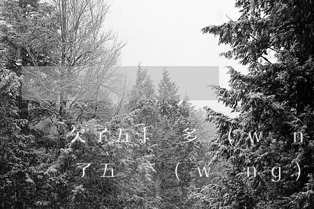 欠了五十萬多網(wǎng)貸怎么辦(我欠了五萬網(wǎng)貸怎么辦)