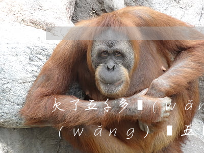 欠了五千多網(wǎng)貸還不起了(欠網(wǎng)貸五萬多還不起怎么辦)