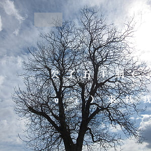 欠了五千網(wǎng)貸不還法院會(huì)來找我嗎(網(wǎng)貸欠款五千元去法院起訴能受理嗎)