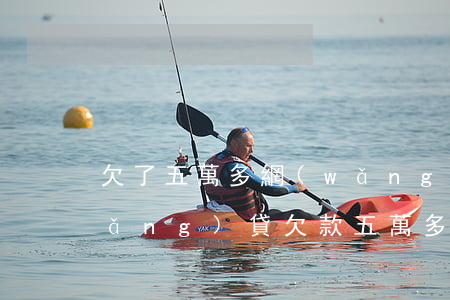 欠了五萬多網(wǎng)貸還不上(網(wǎng)貸欠款五萬多還不上怎么辦?)