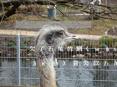 欠了五萬的網(wǎng)貸怎么辦(網(wǎng)貸欠款五萬多還不上怎么辦?)
