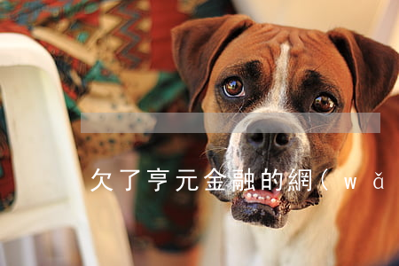 欠了亨元金融的網(wǎng)貸還不起