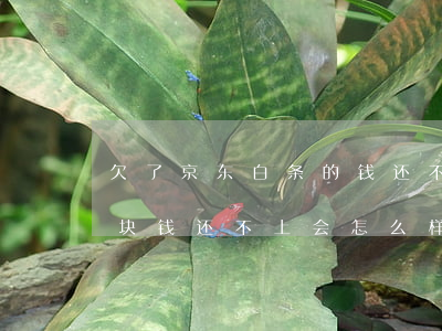 欠了京东白条的钱 还不上(欠京东白条一千多块钱还不上会怎么样?)