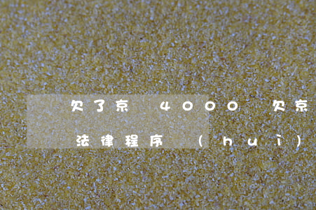 欠了京東4000塊(欠京東2000塊錢走法律程序會(huì)怎么樣)