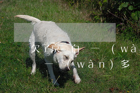 欠了京東白條一萬(wàn)多(欠了京東白條一萬(wàn)多,會(huì)不會(huì)起訴我)