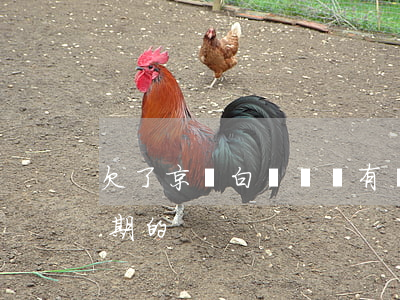 欠了京東白條幾萬(有沒有欠京東白條兩萬逾期的)