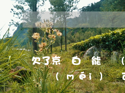 欠了京東白條能辦護(hù)照嗎(欠京東白條沒(méi)還可以坐飛機(jī)嗎)