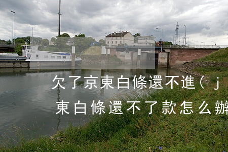 欠了京東白條還不進(jìn)去怎么辦(京東白條還不了款怎么辦)