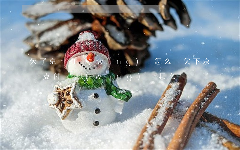 欠了京東的網(wǎng)貸怎么辦(欠下京東支付寶網(wǎng)貸怎么辦)