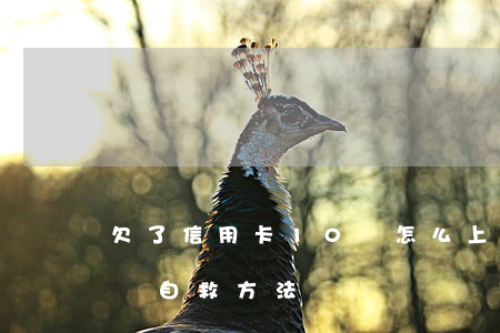 欠了信用卡10萬怎么上岸-信用卡欠10萬自救方法