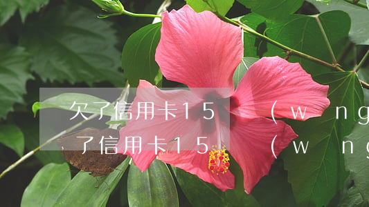 欠了信用卡15萬網(wǎng)貸幾萬(欠了信用卡15萬網(wǎng)貸幾萬)